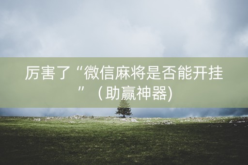 厉害了“微信麻将是否能开挂”（助赢神器)