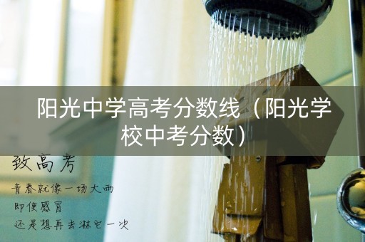 阳光中学高考分数线（阳光学校中考分数）