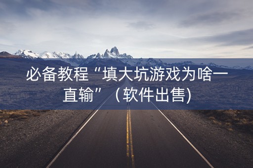 必备教程“填大坑游戏为啥一直输”（软件出售)
