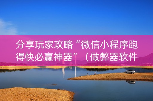 分享玩家攻略“微信小程序跑得快必赢神器”（做弊器软件下载)