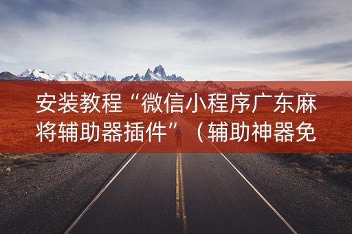 安装教程“微信小程序广东麻将辅助器插件”（辅助神器免费)