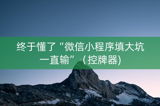 终于懂了“微信小程序填大坑一直输”（控牌器)