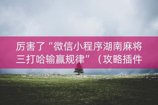 厉害了“微信小程序湖南麻将三打哈输赢规律”（攻略插件)