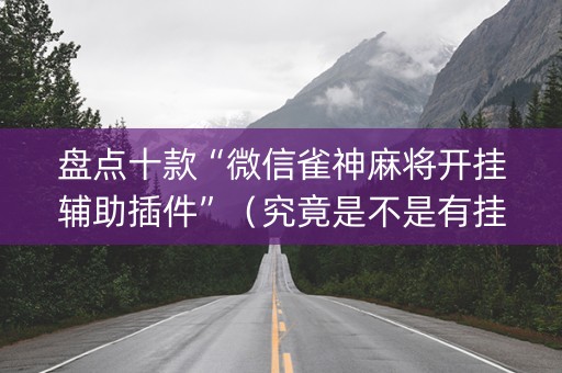盘点十款“微信雀神麻将开挂辅助插件”（究竟是不是有挂)
