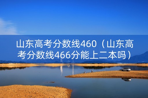山东高考分数线460（山东高考分数线466分能上二本吗）