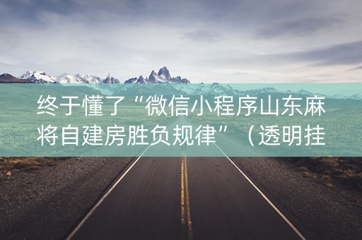 终于懂了“微信小程序山东麻将自建房胜负规律”（透明挂辅助器)