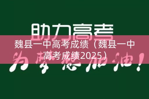 魏县一中高考成绩（魏县一中高考成绩2025）