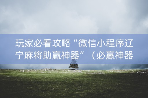 玩家必看攻略“微信小程序辽宁麻将助赢神器”（必赢神器辅助器)