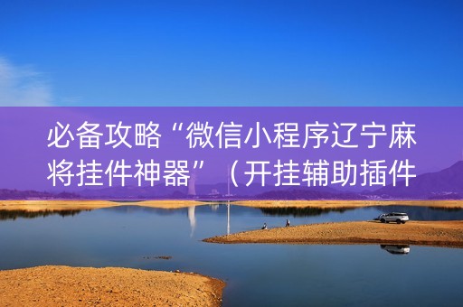 必备攻略“微信小程序辽宁麻将挂件神器”（开挂辅助插件)