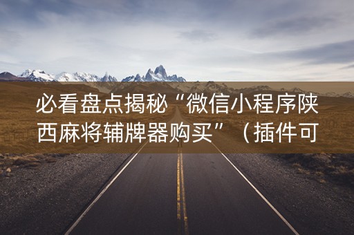 必看盘点揭秘“微信小程序陕西麻将辅牌器购买”（插件可信吗)