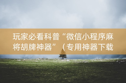 玩家必看科普“微信小程序麻将胡牌神器”（专用神器下载)