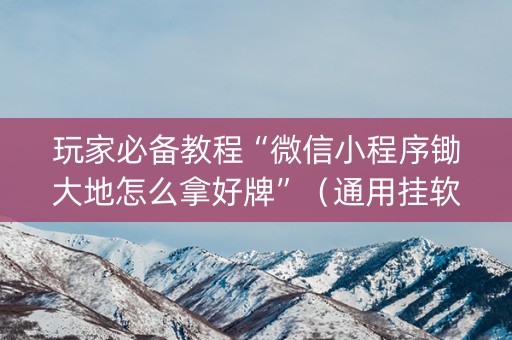 玩家必备教程“微信小程序锄大地怎么拿好牌”（通用挂软件多少钱)