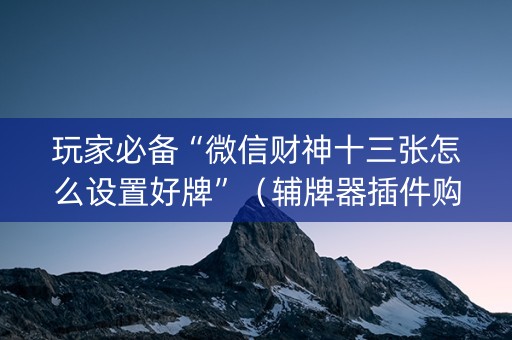 玩家必备“微信财神十三张怎么设置好牌”（辅牌器插件购买)