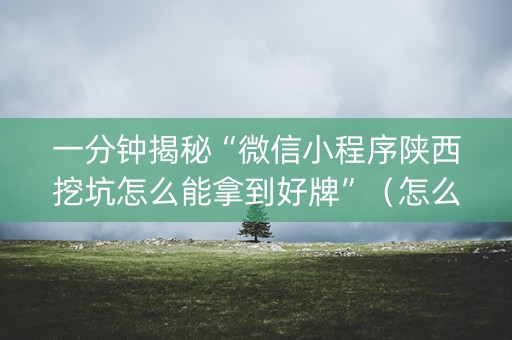 一分钟揭秘“微信小程序陕西挖坑怎么能拿到好牌”(怎么能调好牌) 一分钟揭秘“微信小程序陕西挖坑怎么能拿到好牌”(怎么能调好牌)