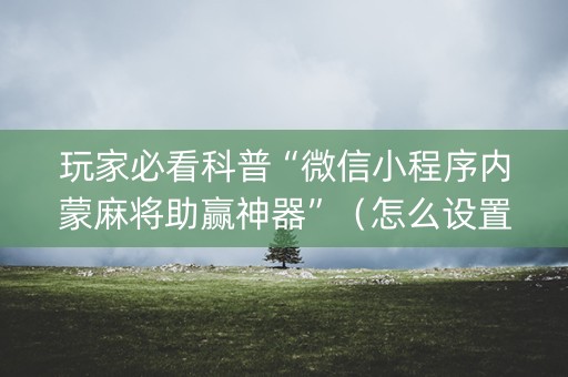 玩家必看科普“微信小程序内蒙麻将助赢神器”（怎么设置才能赢)