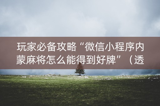 玩家必备攻略“微信小程序内蒙麻将怎么能得到好牌”（透明挂辅助器)