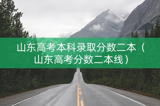 山东高考本科录取分数二本（山东高考分数二本线）