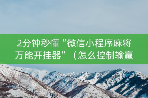 2分钟秒懂“微信小程序麻将万能开挂器”（怎么控制输赢)