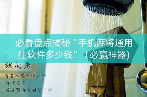 必看盘点揭秘“手机麻将通用挂软件多少钱”（必赢神器)