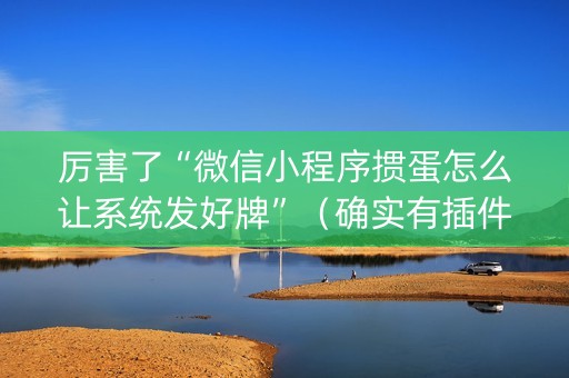 厉害了“微信小程序掼蛋怎么让系统发好牌”（确实有插件吗)