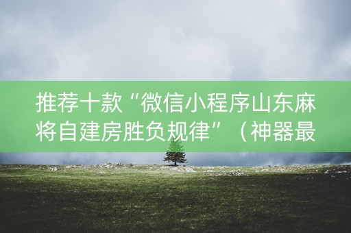 推荐十款“微信小程序山东麻将自建房胜负规律”（神器最新免费)