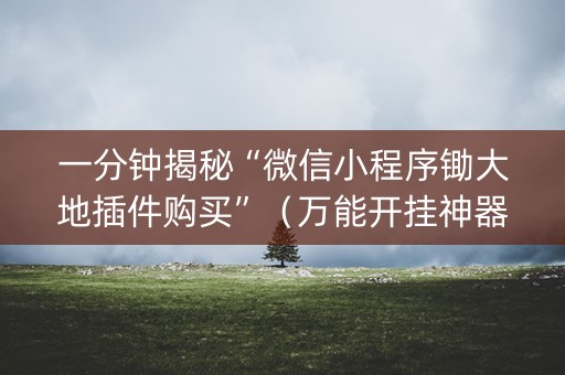 一分钟揭秘“微信小程序锄大地插件购买”（万能开挂神器)