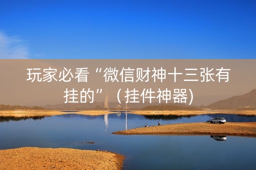 玩家必看“微信财神十三张有挂的”（挂件神器)
