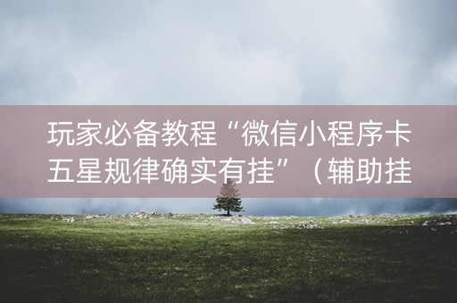 玩家必备教程“微信小程序卡五星规律确实有挂”（辅助挂发牌规律)