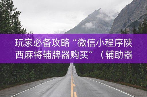 玩家必备攻略“微信小程序陕西麻将辅牌器购买”（辅助器下载)