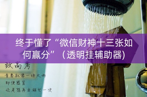 终于懂了“微信财神十三张如何赢分”（透明挂辅助器)