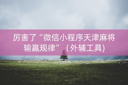 厉害了“微信小程序天津麻将输赢规律”（外辅工具)