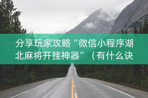 分享玩家攻略“微信小程序湖北麻将开挂神器”（有什么诀窍)