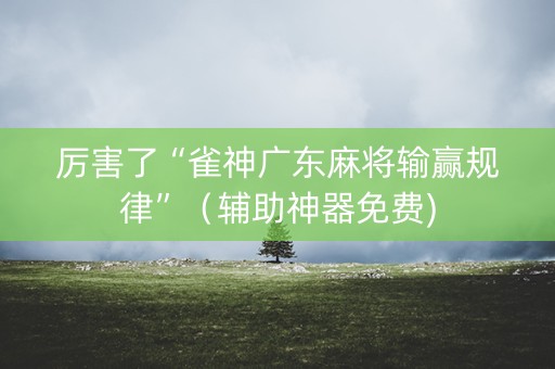 厉害了“雀神广东麻将输赢规律”（辅助神器免费)