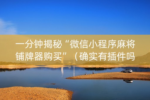 一分钟揭秘“微信小程序麻将铺牌器购买”（确实有插件吗)