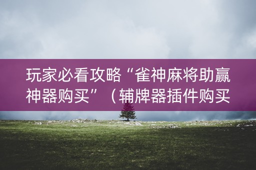 玩家必看攻略“雀神麻将助赢神器购买”（辅牌器插件购买)