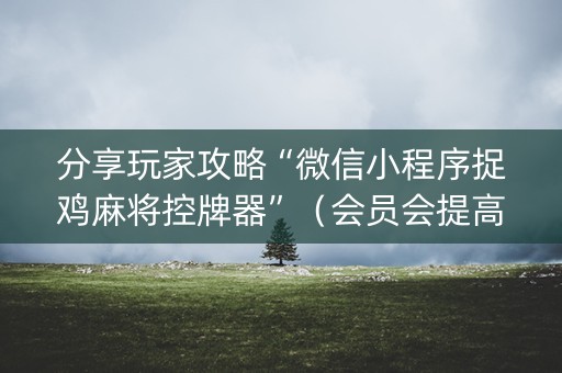 分享玩家攻略“微信小程序捉鸡麻将控牌器”（会员会提高胜率吗)