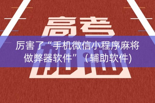 厉害了“手机微信小程序麻将做弊器软件”（辅助软件)