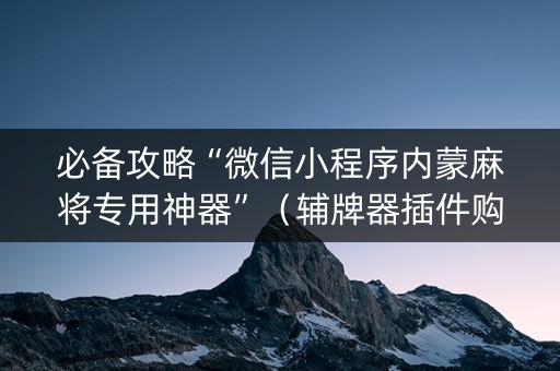 必备攻略“微信小程序内蒙麻将专用神器”（辅牌器插件购买)