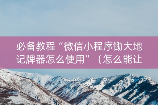 必备教程“微信小程序锄大地记牌器怎么使用”（怎么能让牌好一点)