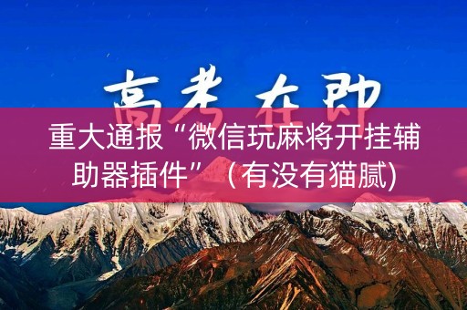 重大通报“微信玩麻将开挂辅助器插件”（有没有猫腻)