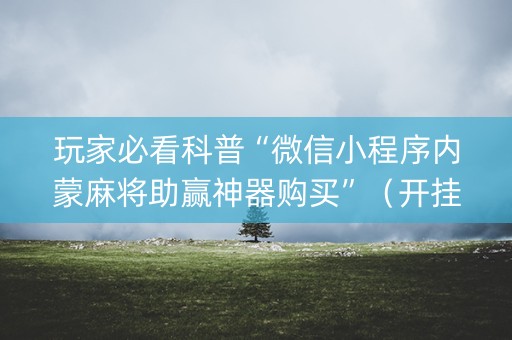 玩家必看科普“微信小程序内蒙麻将助赢神器购买”（开挂辅助器插件)