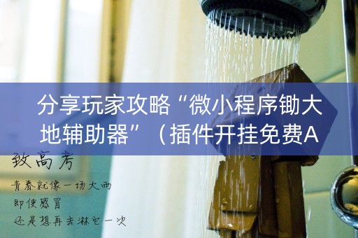 分享玩家攻略“微小程序锄大地辅助器”（插件开挂免费AI)