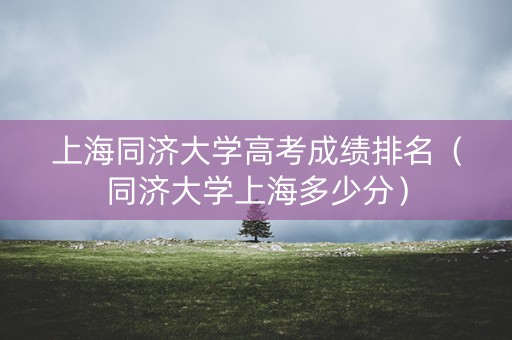 上海同济大学高考成绩排名（同济大学上海多少分）