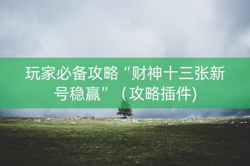 玩家必备攻略“财神十三张新号稳赢”（攻略插件)