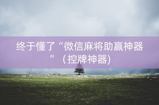 终于懂了“微信麻将助赢神器”（控牌神器)