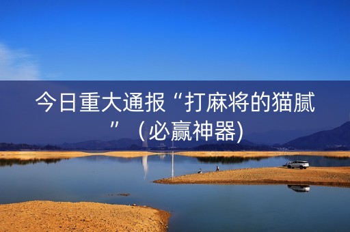 今日重大通报“打麻将的猫腻”（必赢神器)