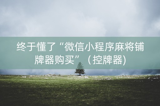终于懂了“微信小程序麻将铺牌器购买”（控牌器)