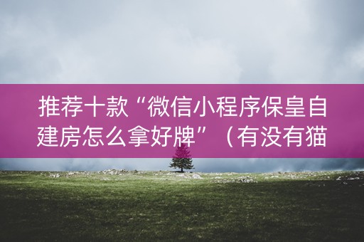推荐十款“微信小程序保皇自建房怎么拿好牌”（有没有猫腻)