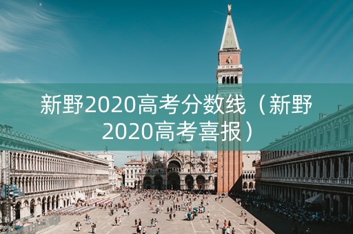 新野2020高考分数线（新野2020高考喜报）