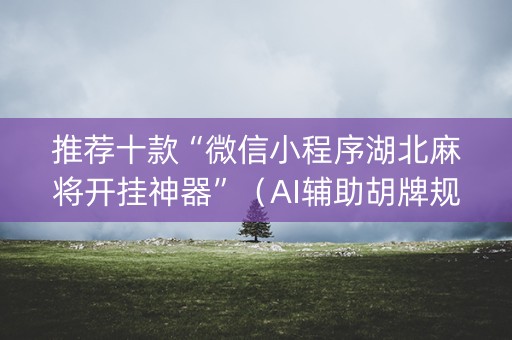 推荐十款“微信小程序湖北麻将开挂神器”（AI辅助胡牌规则)